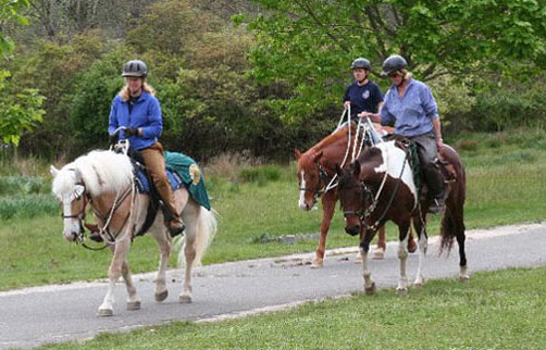 People riding horses